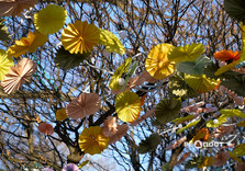 Нові квіткові інсталяції у Харкові (фото)