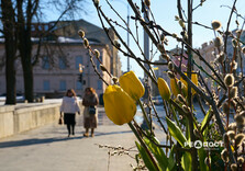 Нові квіткові інсталяції у Харкові (фото)