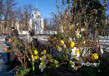 Нові квіткові інсталяції у Харкові (фото)