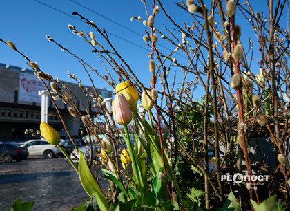 Чим живе Харків: головне за тиждень
