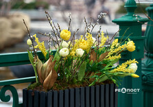 Весняні інсталяції у центрі Харкова: що встановили (фото)