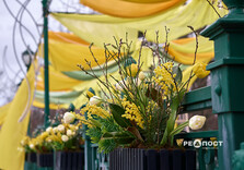 Весняні інсталяції у центрі Харкова: що встановили (фото)