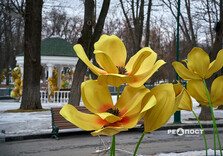 Весняні інсталяції у центрі Харкова: що встановили (фото)