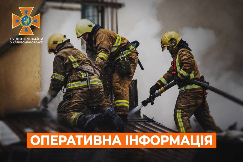 дснс