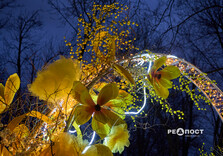 У Харкові засяяли святкові інсталяції (фото)