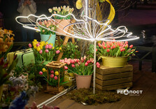 У Харкові засяяли святкові інсталяції (фото)