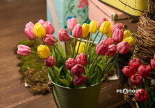 У Харкові засяяли святкові інсталяції (фото)