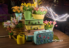 У Харкові засяяли святкові інсталяції (фото)