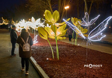 У Харкові засяяли святкові інсталяції (фото)
