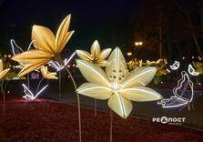 У Харкові засяяли святкові інсталяції (фото)