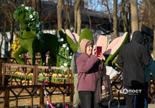 Вихідний день у Харкові (фото)