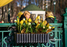 Вихідний день у Харкові (фото)