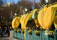Вихідний день у Харкові (фото)