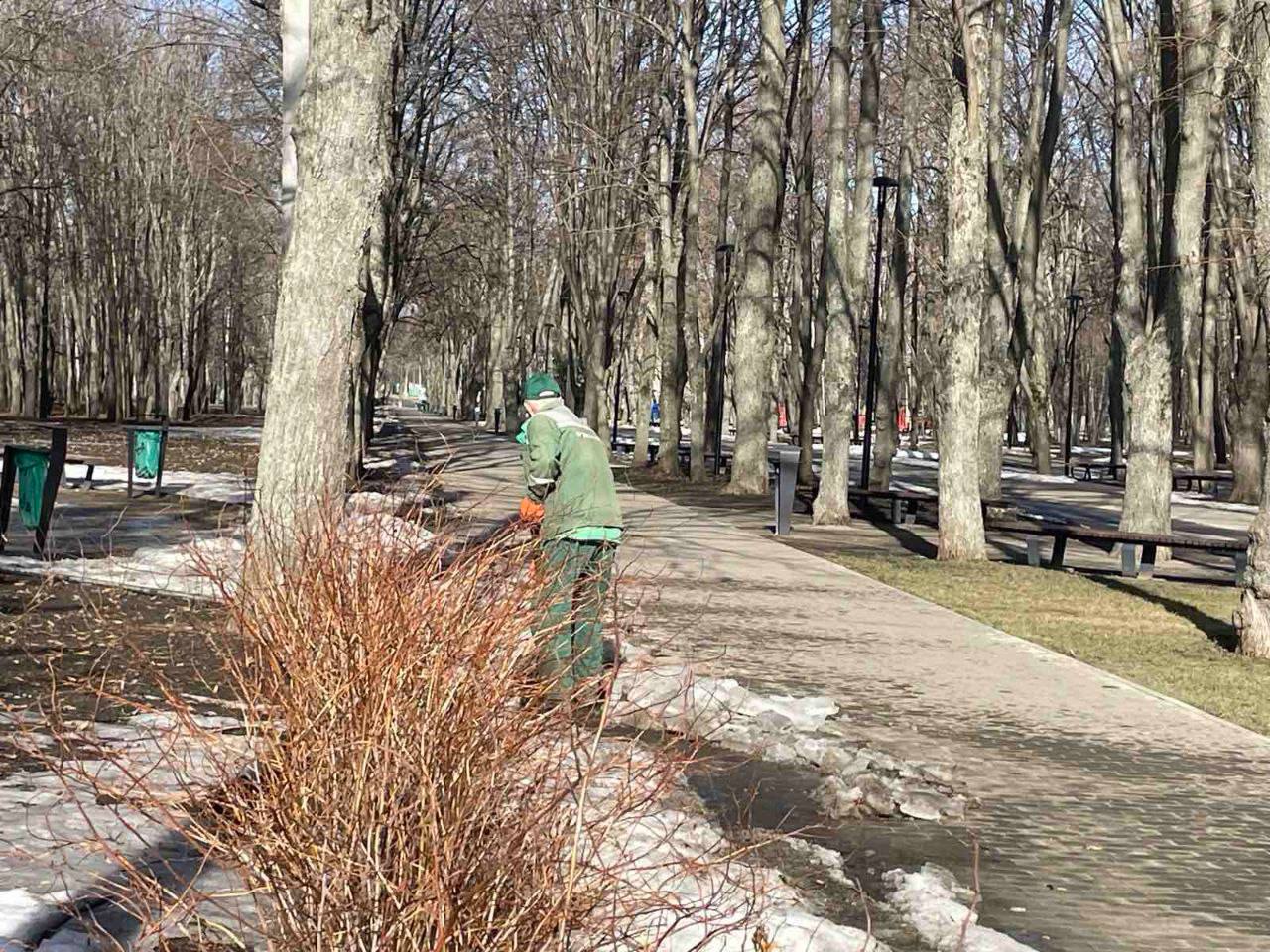 Парки Харкова стають чистішими та комфортнішими
