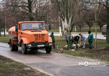У Харкові висаджують гіпоалергенні тополі (фото)