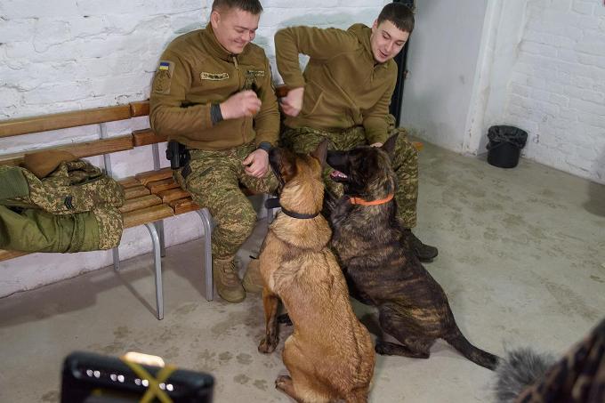 Новини Харкова: собаки «Скіфів» допомагають військовим відновлюватись