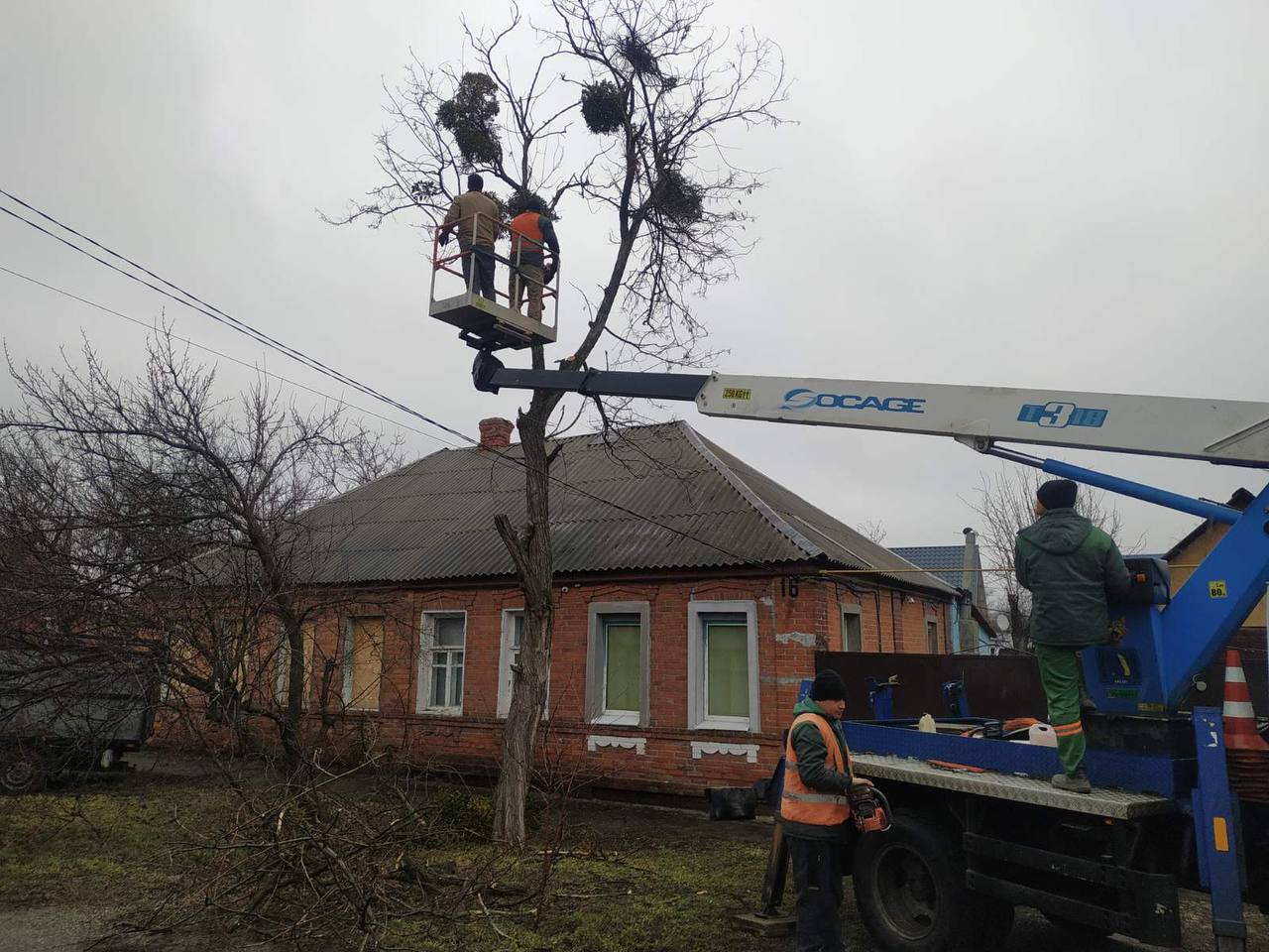 Вивезли тисячі кубометрів гілля комунальники міста: Новини Харкова