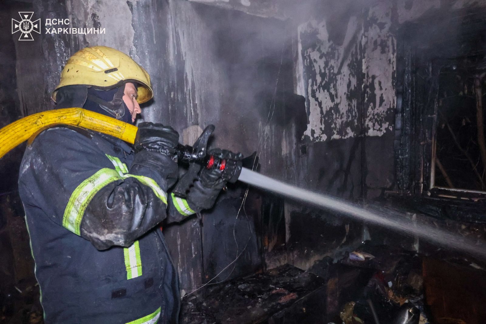 У передмісті Харкова під час пожежі загинули люди