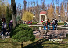 У Центральному парку Харкова зацвіли крокуси (фото)