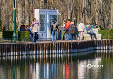 У Центральному парку Харкова зацвіли крокуси (фото)