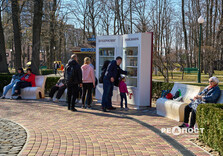 У Центральному парку Харкова зацвіли крокуси (фото)