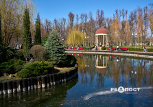 У Центральному парку Харкова зацвіли крокуси (фото)