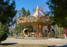 У Центральному парку Харкова зацвіли крокуси (фото)