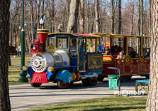 У Центральному парку Харкова зацвіли крокуси (фото)