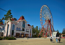 У Центральному парку Харкова зацвіли крокуси (фото)