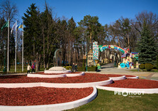 У Центральному парку Харкова зацвіли крокуси (фото)