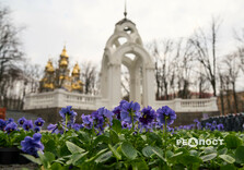 У Харкові почали висаджувати квіти (фото)