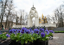 У Харкові почали висаджувати квіти (фото)