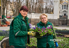У Харкові почали висаджувати квіти (фото)