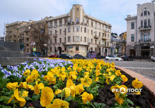 У Харкові почали висаджувати квіти (фото)