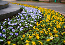 У Харкові почали висаджувати квіти (фото)