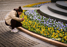 У Харкові почали висаджувати квіти (фото)