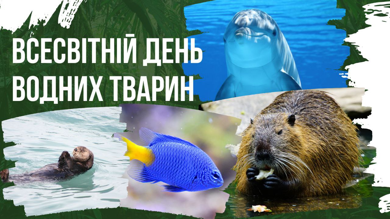 Всесвітній день водних тварин