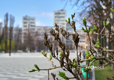 Початок квітня у Харкові (фото)