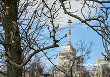 Початок квітня у Харкові (фото)