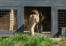 Початок квітня у Харкові (фото)