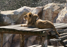 Початок квітня у Харкові (фото)