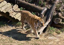 Початок квітня у Харкові (фото)