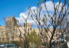 Початок квітня у Харкові (фото)