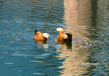 Початок квітня у Харкові (фото)