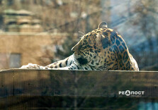 Початок квітня у Харкові (фото)