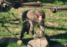 Початок квітня у Харкові (фото)