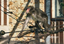 Початок квітня у Харкові (фото)