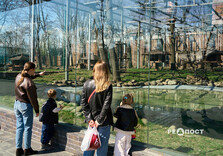 Початок квітня у Харкові (фото)