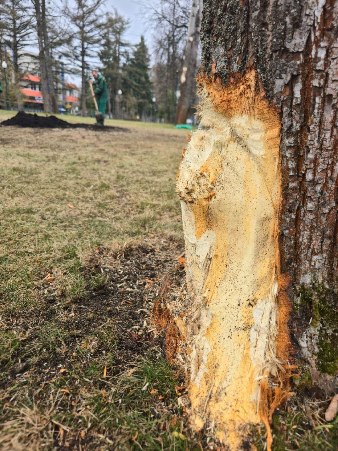 Новини Харкова: дрон «шахед» вибухнув у Центральному парку