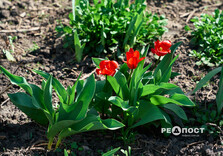 На Північній Салтівці у Харкові продовжуються відновлювальні роботи (фото)